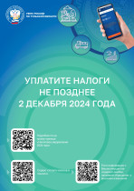 Уплатите налоги не позднее 2 декабря.