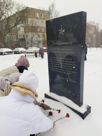 День Героев Отечества.