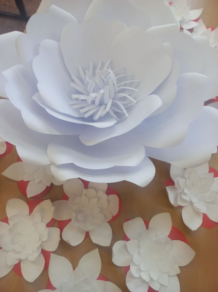 Акция "Белый цветок".